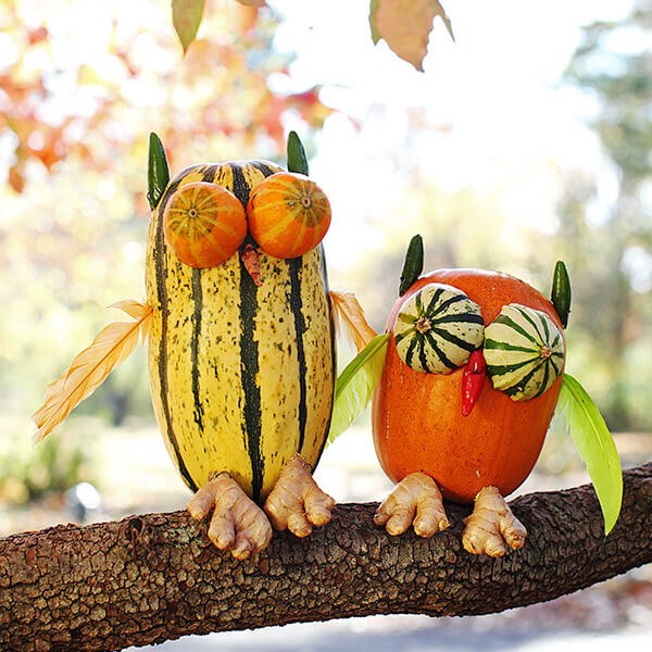 Mowleficent fowl pumpkins 600x600