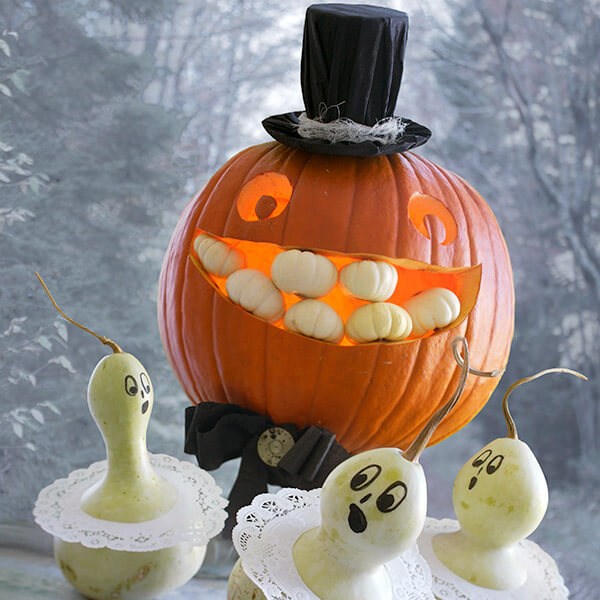 Mr pumpkin 600x600
