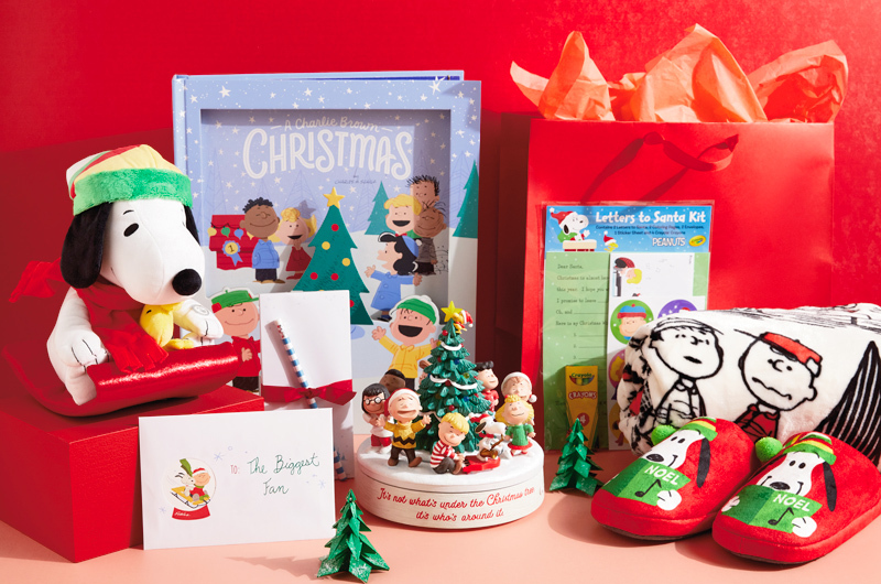 15893 Christmas Care Packages 04
