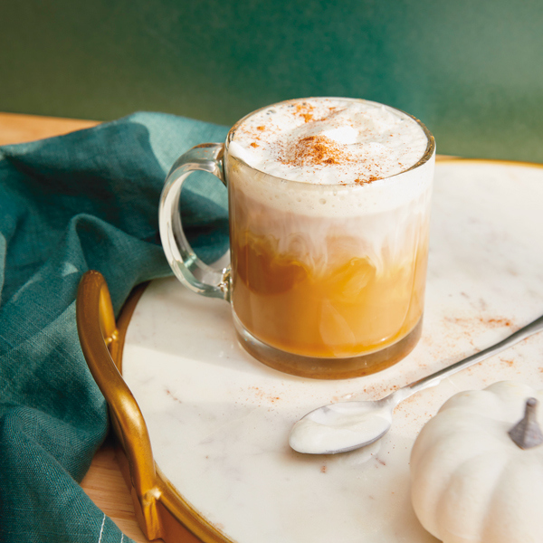 16909 Pumpkin Spice Recipe MC