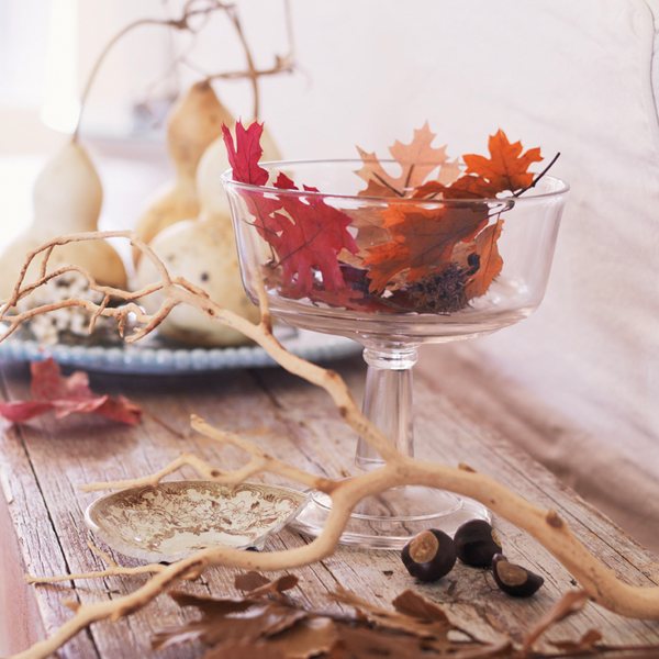 Bring Autumn Inside 0002 Layer 3