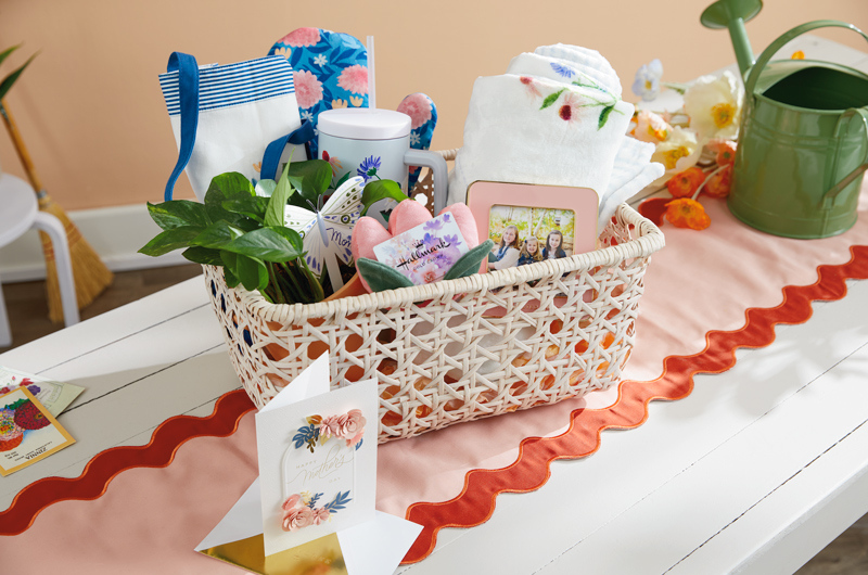 18733 MD Baskets Plant