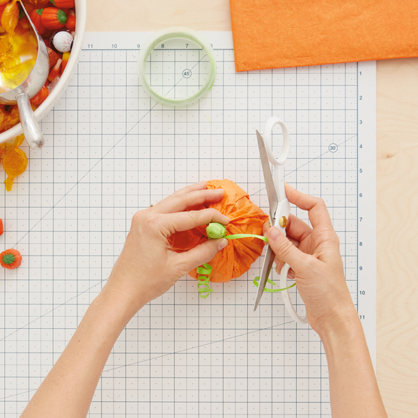 Halloween pumpkin treat bag 14