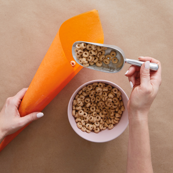 16254 DIY Easter Extras Carrot 5