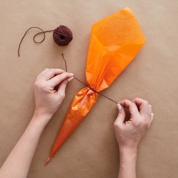 16254 DIY Easter Extras Carrot 6