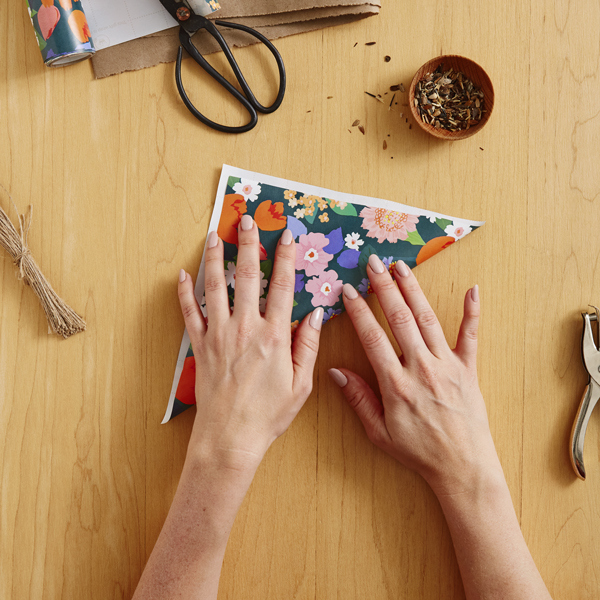 18491 Seedpacket DIY 2