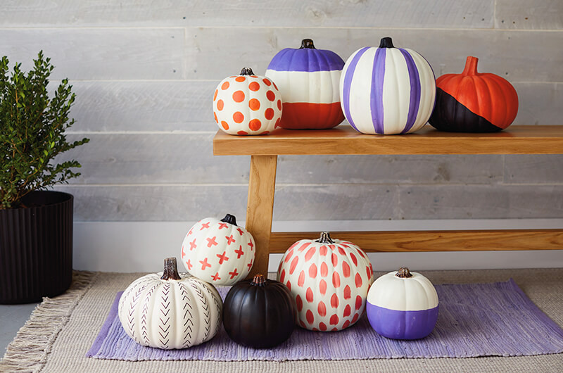 Painted Pumpkins In Feed 6