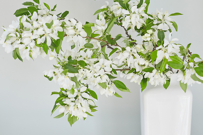 Ideas Funeral In Post Image