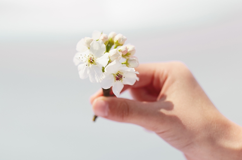 Ideas Funeral In Post Image copy 3