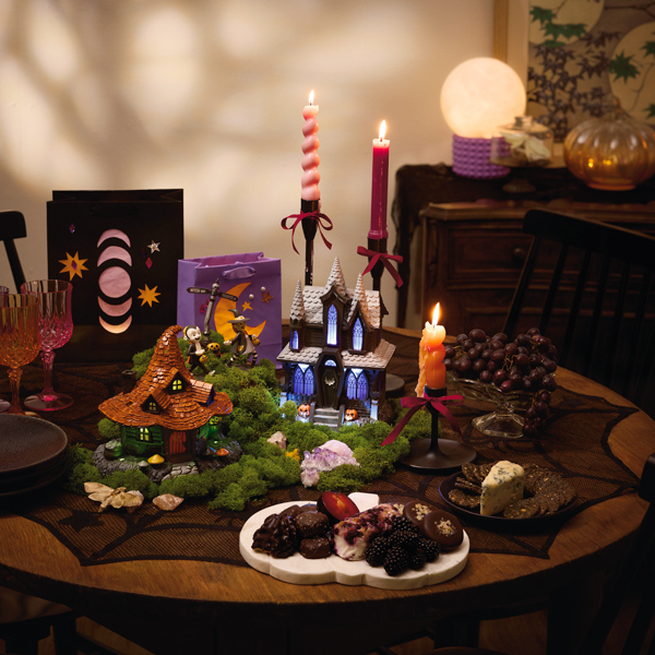19922 Witch Craft Party Ideas MC