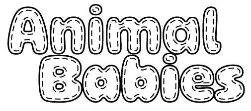 Animal Babies