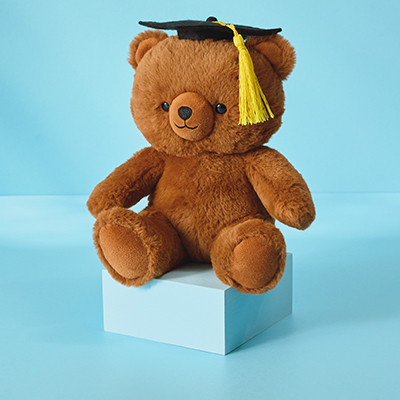 Offers Image Grad Bear copy
