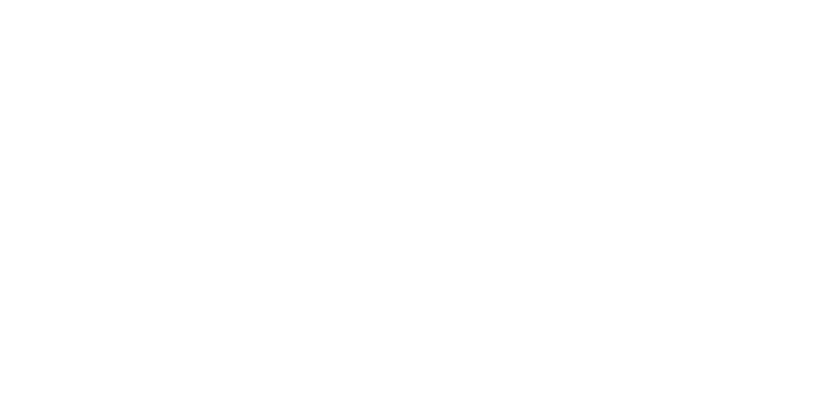 Keepsake Ornament Debut
